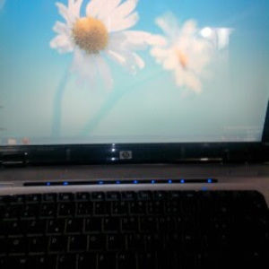 Meet your Posher, Brahim